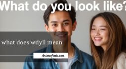 what does wdyll mean